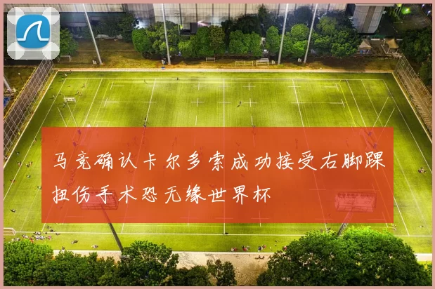 马竞确认卡尔多索成功接受右脚踝扭伤手术恐无缘世界杯