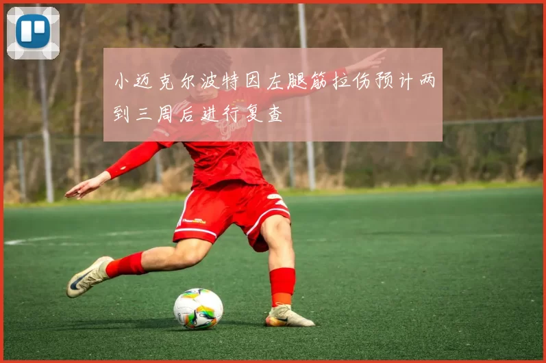 小迈克尔波特因左腿筋拉伤预计两到三周后进行复查